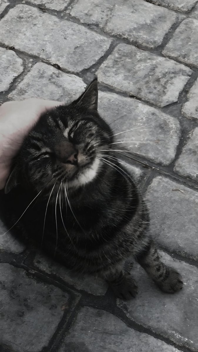 王, 𝐑𝐀𝐍𝐔 tweet media