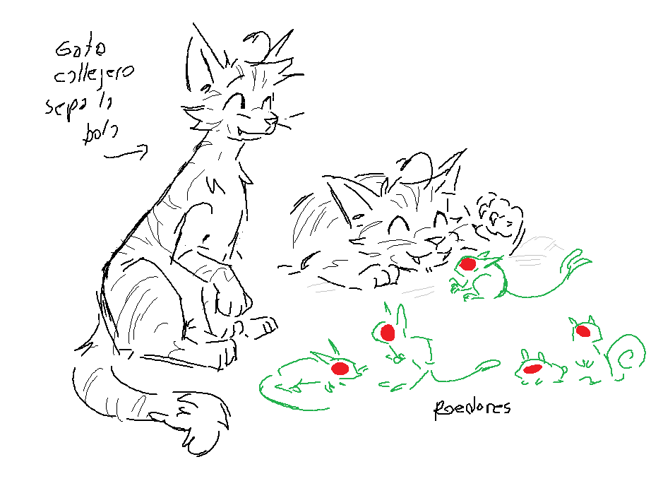 Pollito 444 tweet media