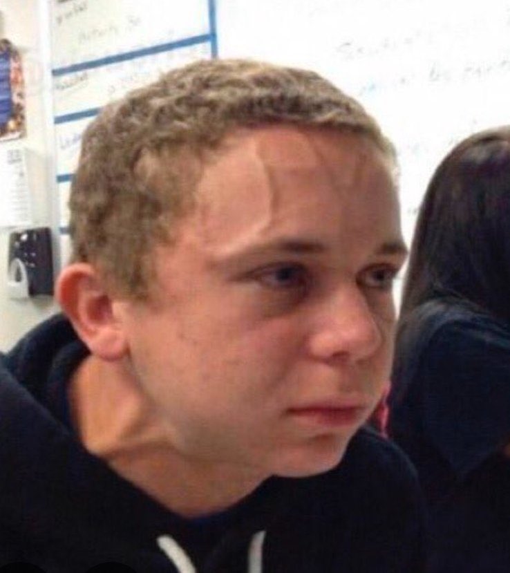 Metiste Un Tuitazo tweet media