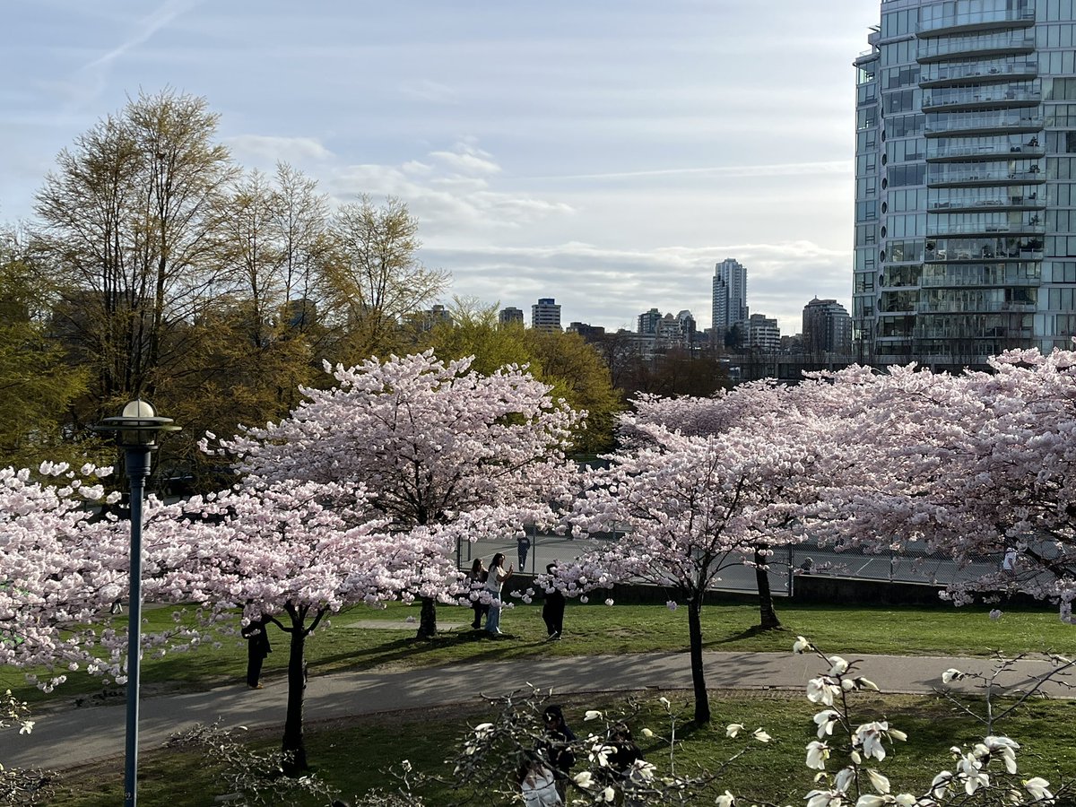 lou ᜎᜓᜂ tweet media