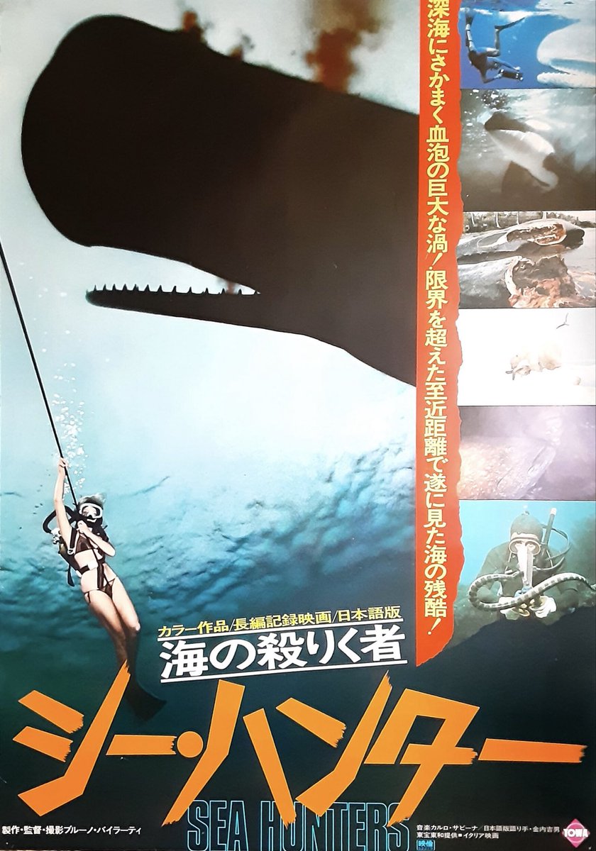 hiroshi hirayama tweet media