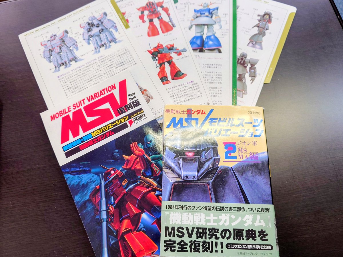 事務所でプライベートグッズの整理をしてたら出てきた。MSVの設定整理をしたときの資料。MS-07C-5の試作は増加試作も含めて5機とし、オデッサ作戦の前哨戦で夜戦部隊に投入とか。個人的にはクランプ中尉が作戦指揮を執るイメージ。