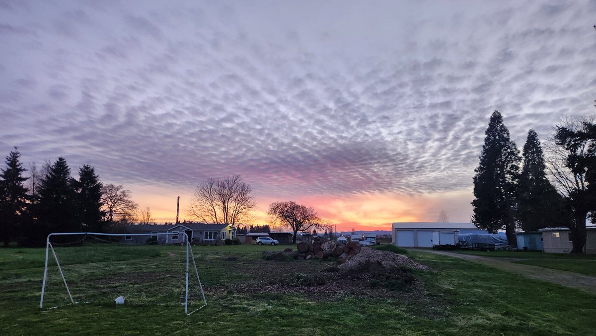 UnprecedentedRunner76 tweet media