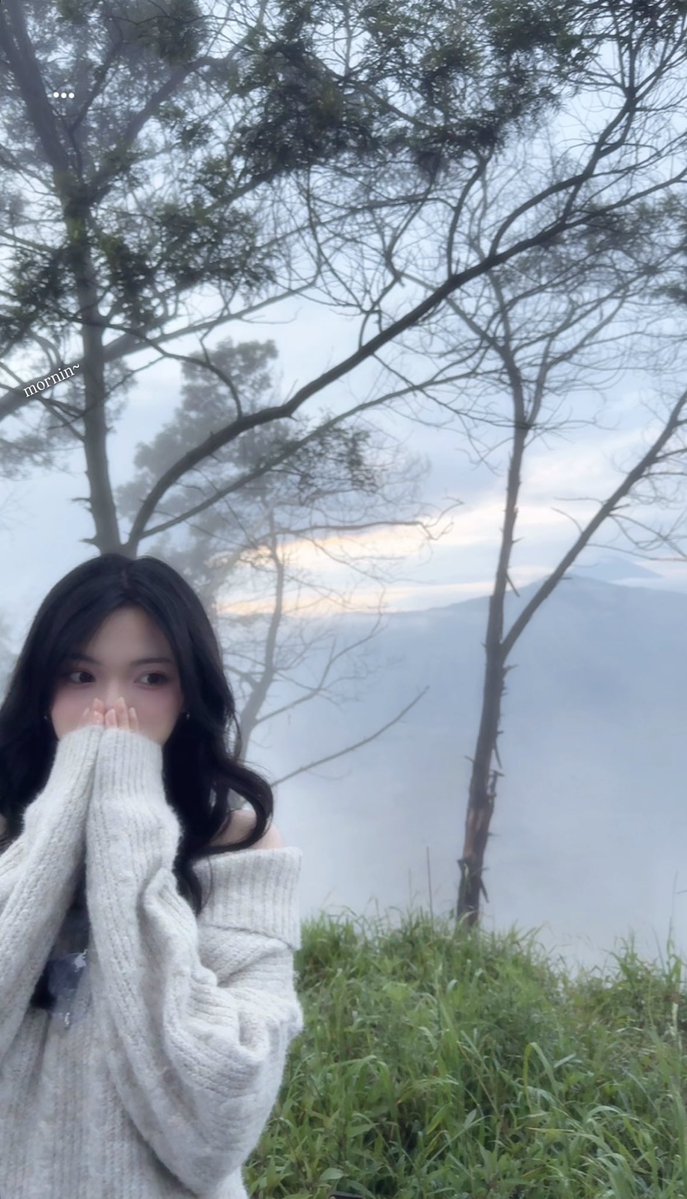 𝐚𝐮𝐫𝐚𝐥𝐮𝐦𝐞 tweet media