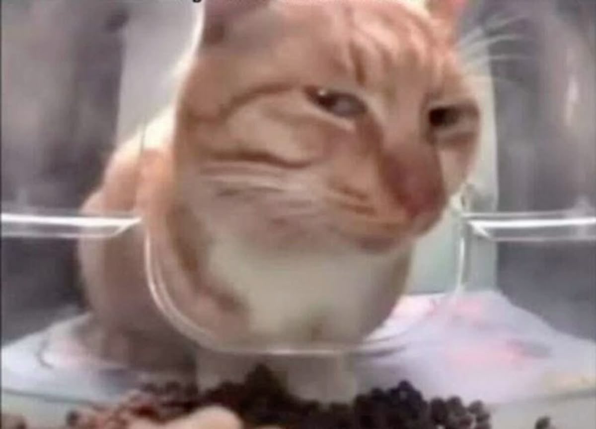 ★ˎˊ˗ tweet media