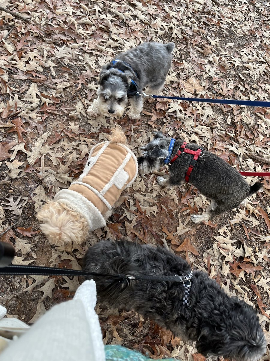 Freebo Jones tweet media