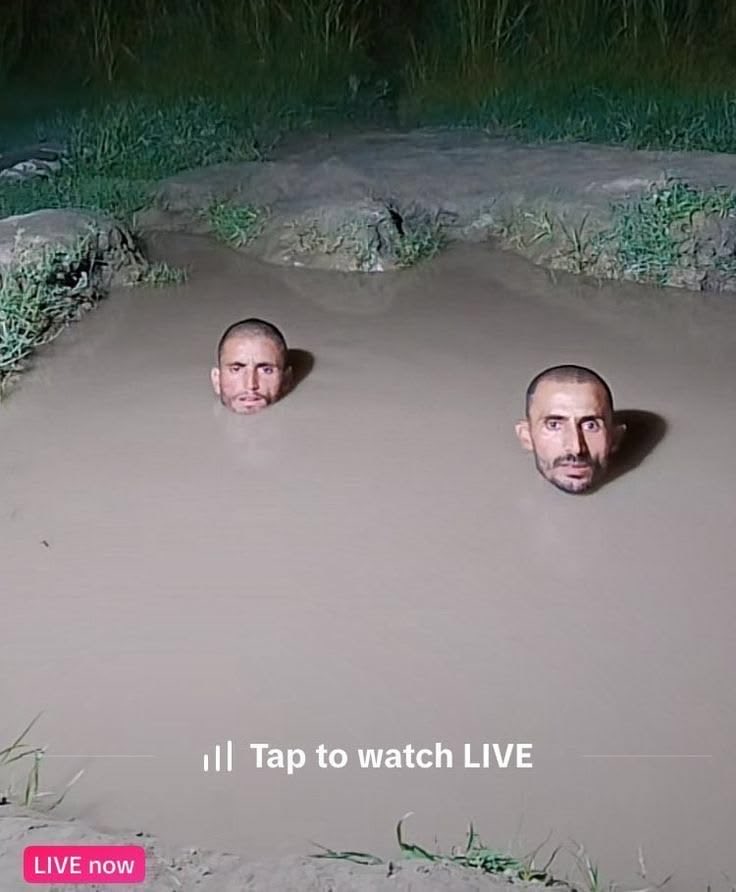 choompie tweet media