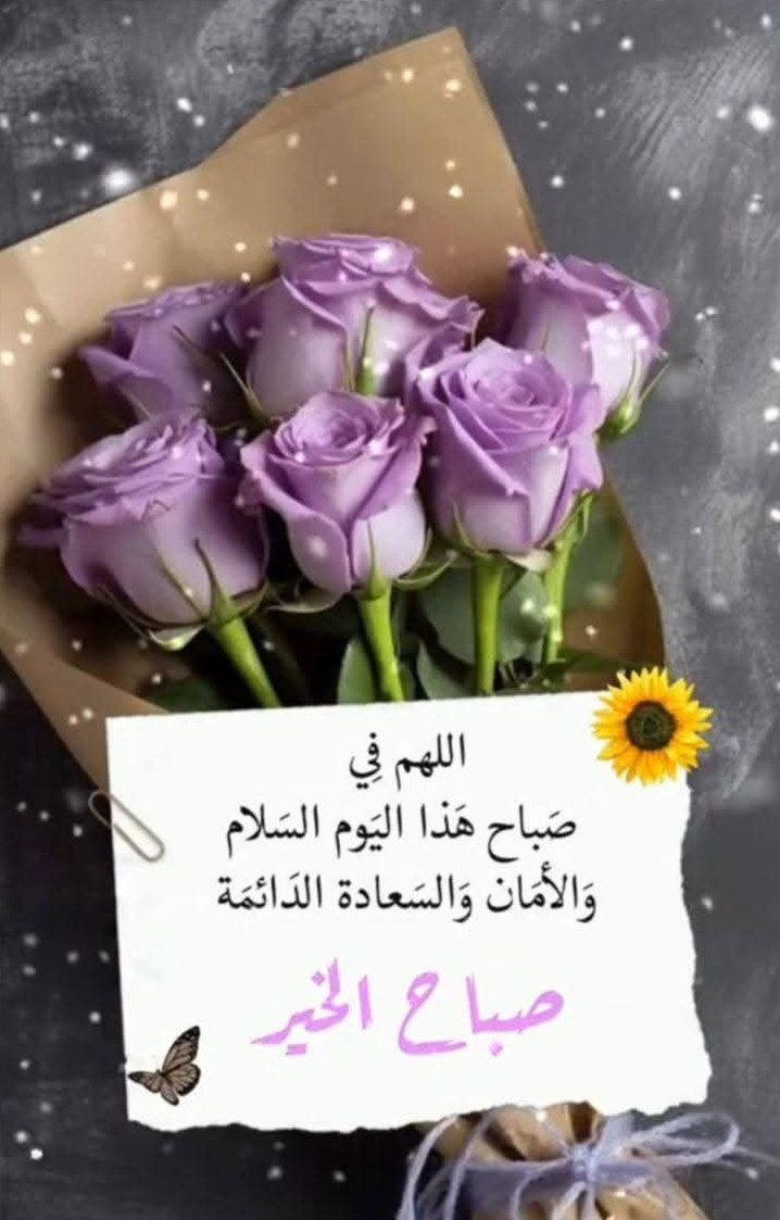 بدون اسم tweet media