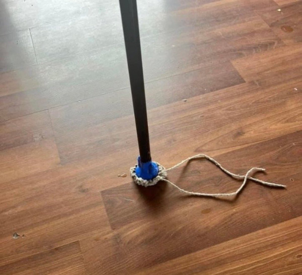 itsD3lay🐧 tweet media