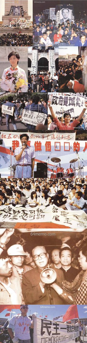 lovechina2022 tweet media