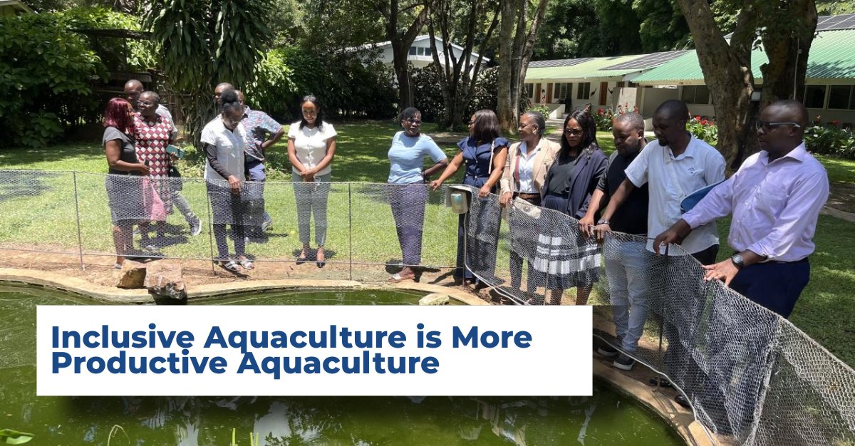 WorldFish tweet media