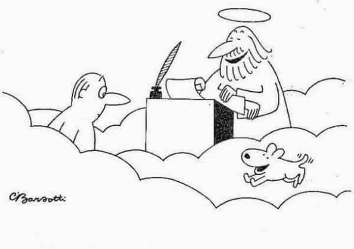 Alvin Foo tweet media