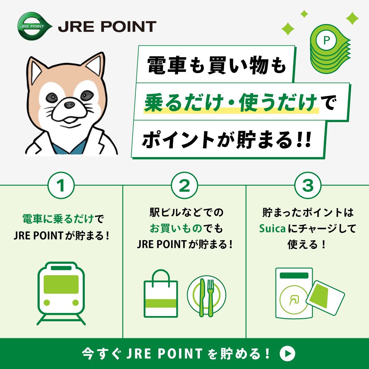 忠犬Dr@ポイ活投資家 tweet media