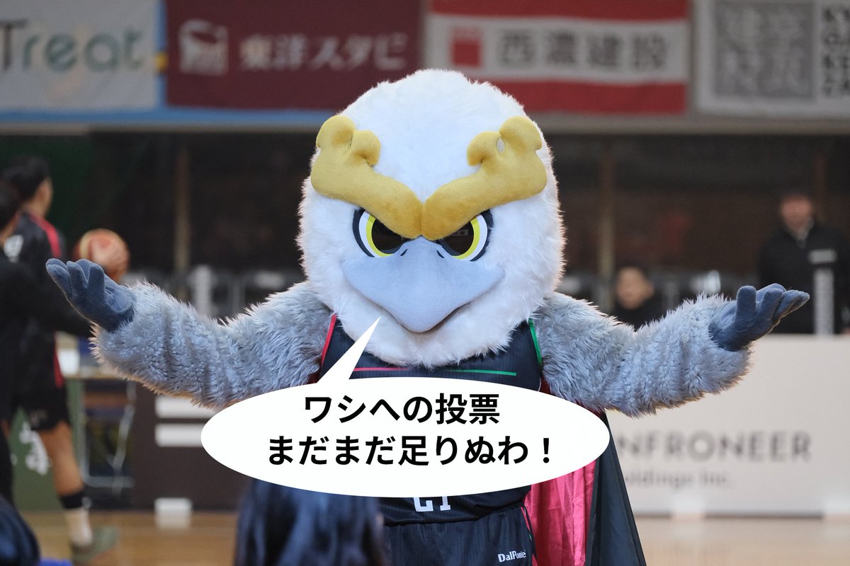 岐阜スゥープス tweet media