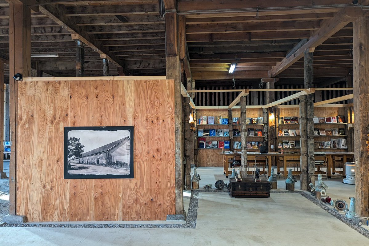 Kino Koike Photography tweet media