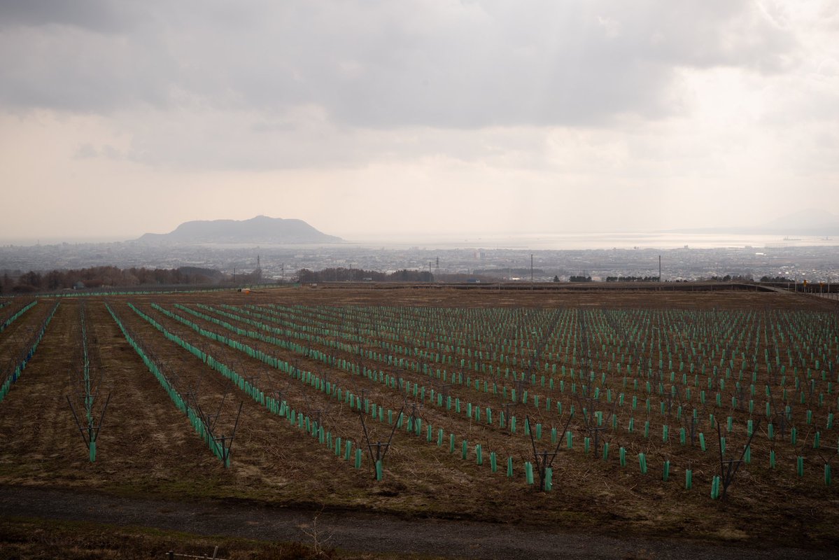 Kino Koike Photography tweet media