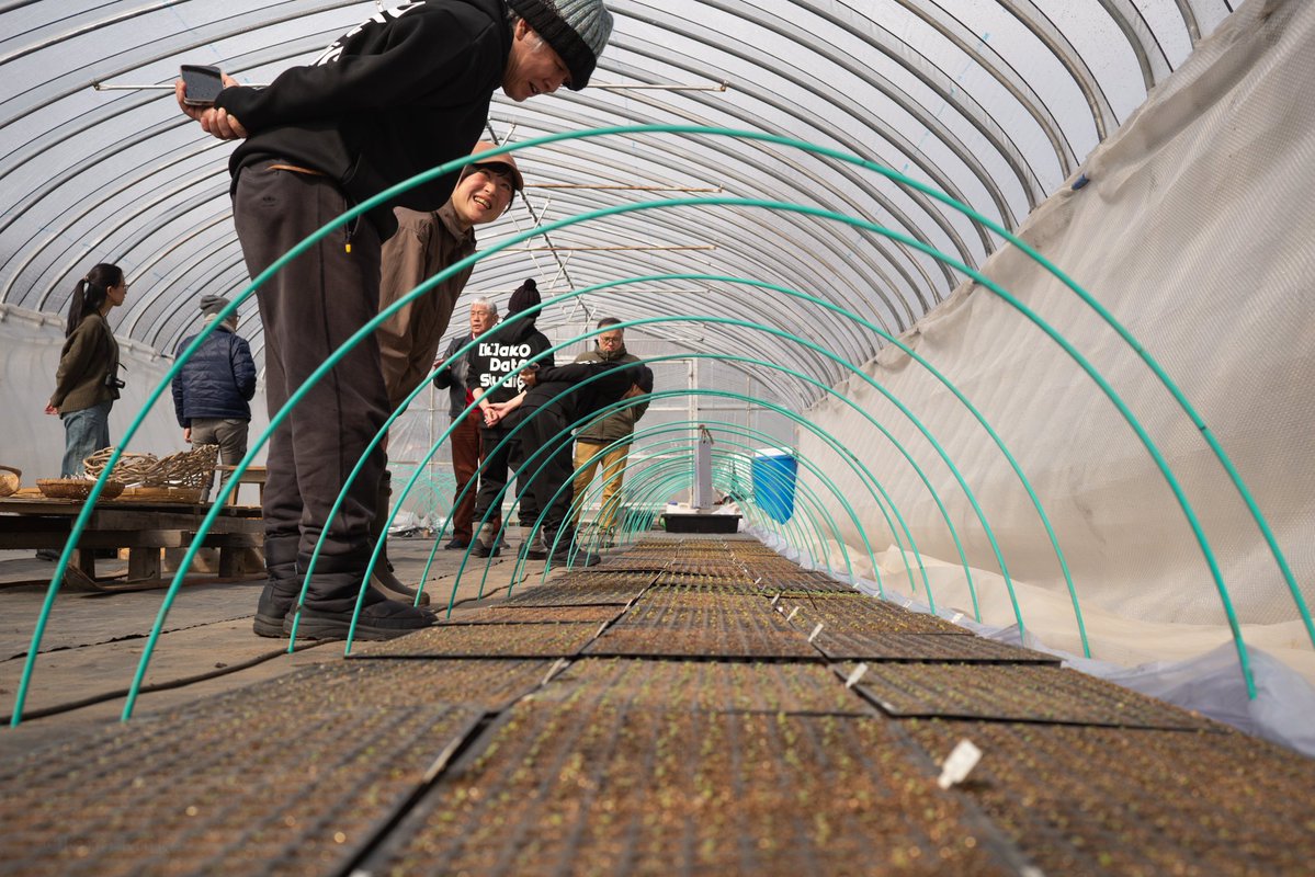 Kino Koike Photography tweet media