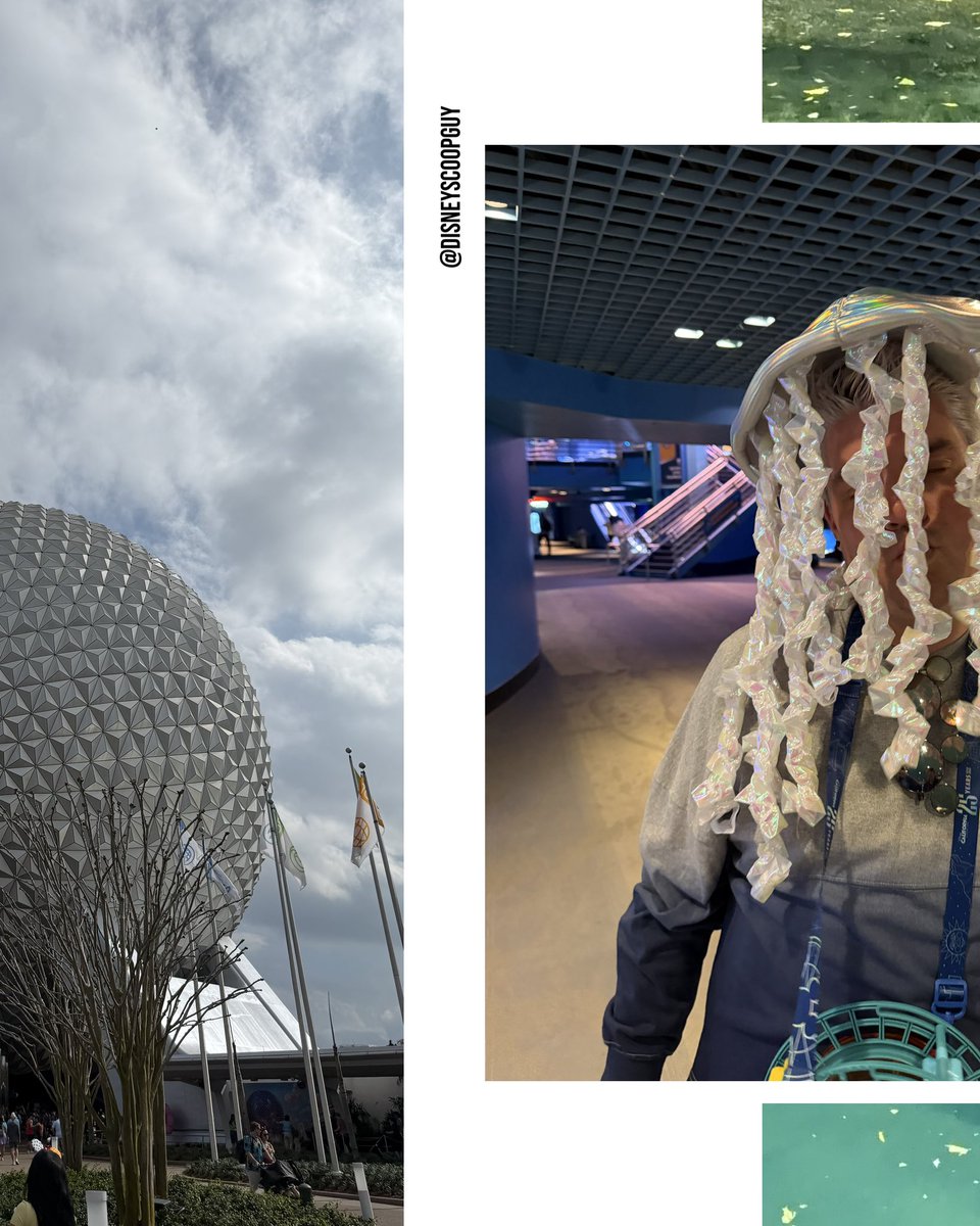 Magic With Ryan ✨ tweet media