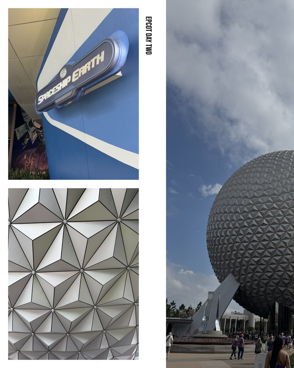 Magic With Ryan ✨ tweet media