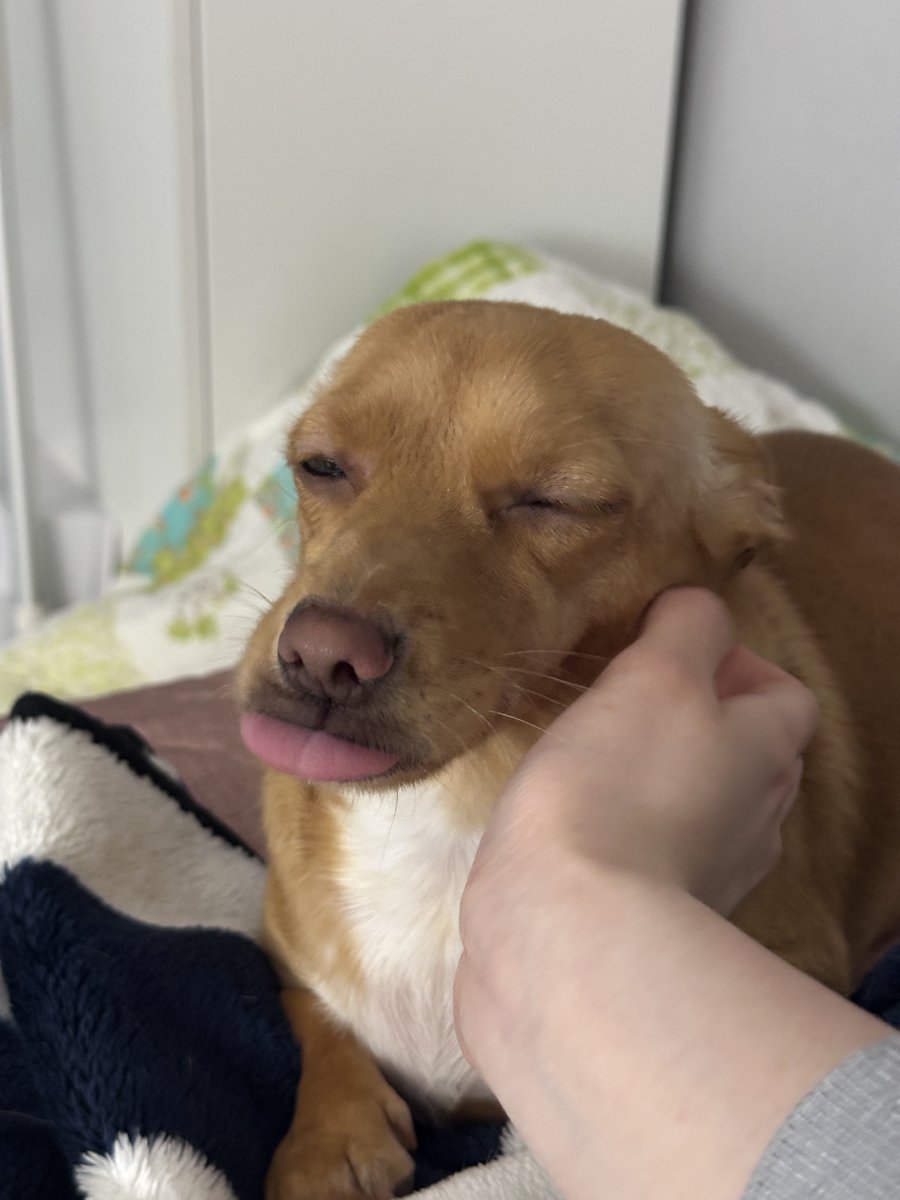 기름이 tweet media