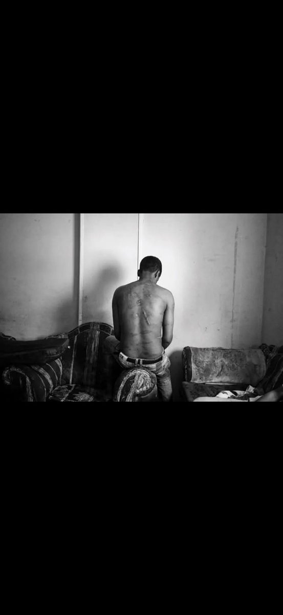 Mercy ✨💙 🩵🌿 tweet media