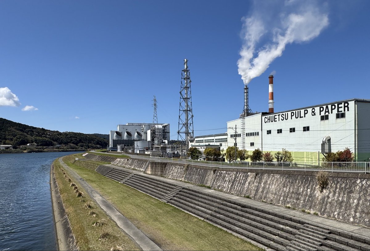 Chris Arnade 🐢🐱🚌 tweet media