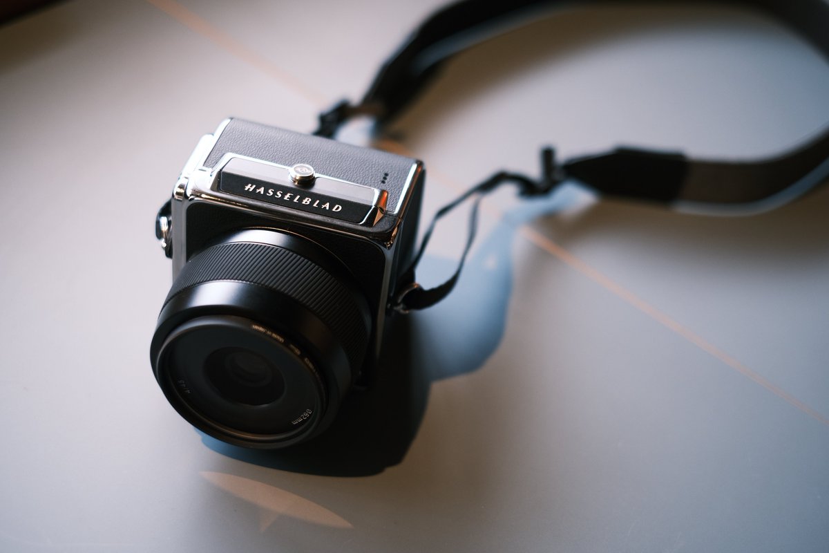 イソ｜#ISO1638400 tweet media