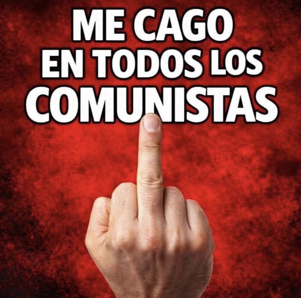 Conchita Álvarez de Toledo tweet media