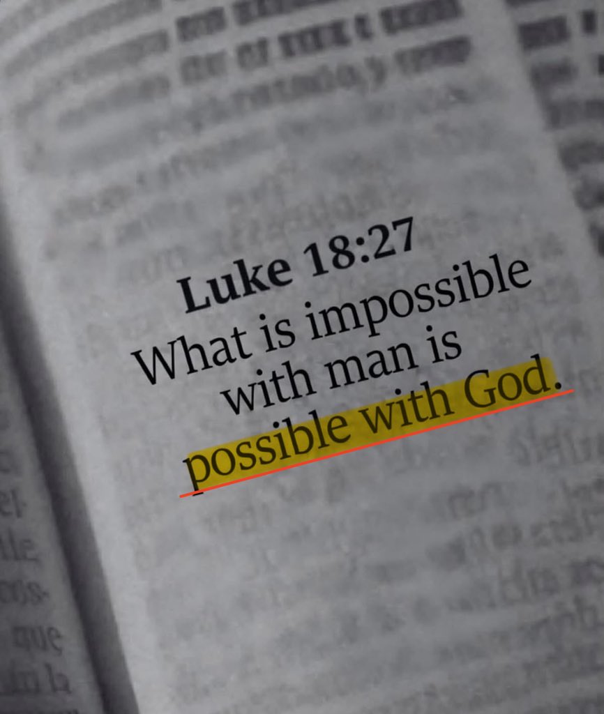 Holy Bible tweet media