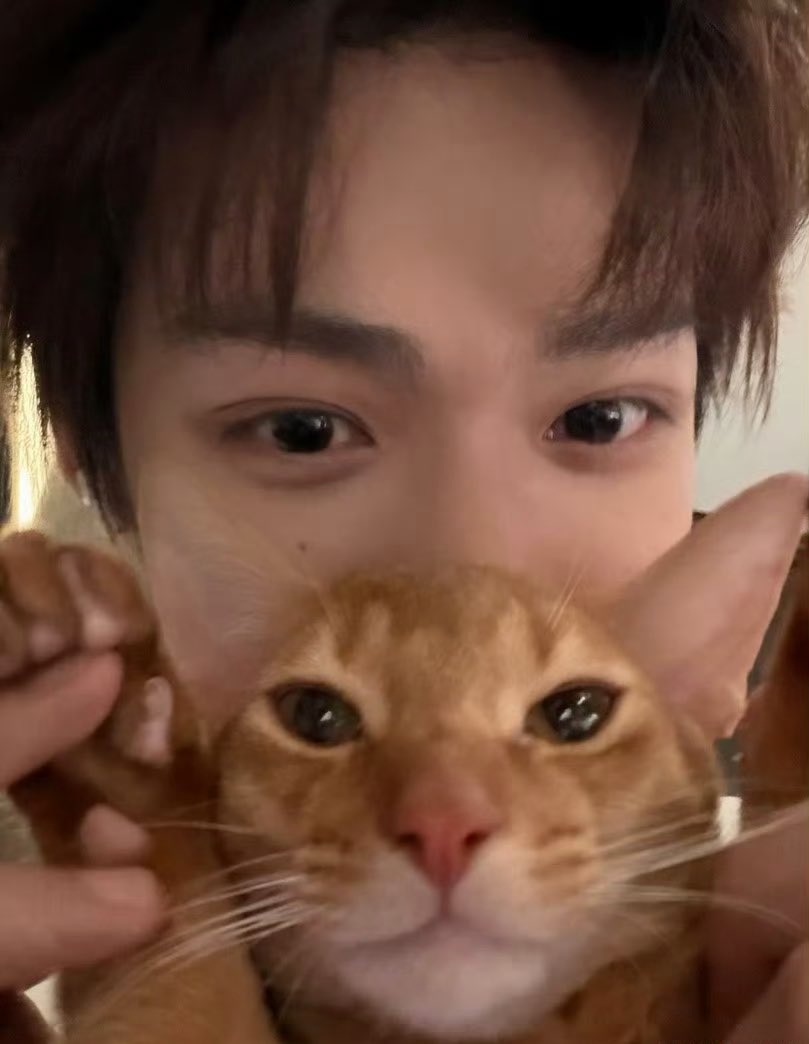 lariin🦖 tweet media