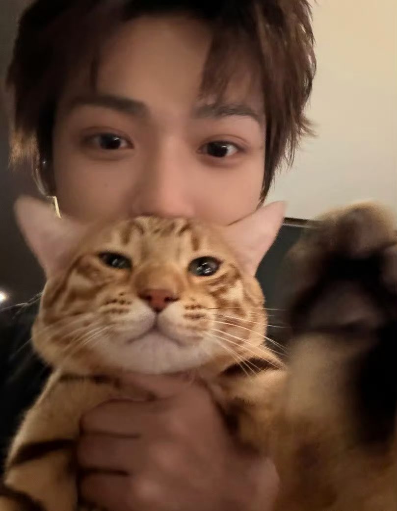 lariin🦖 tweet media