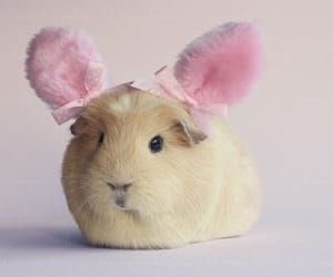 ᨳ ໒꒰ྀི ◞ ˕ ҂ 𐦯১ ໒꒱ིྀ༝⁺ tweet media