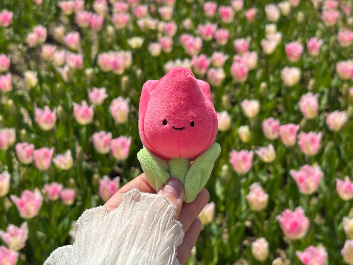 ハウステンボス公式 tweet media