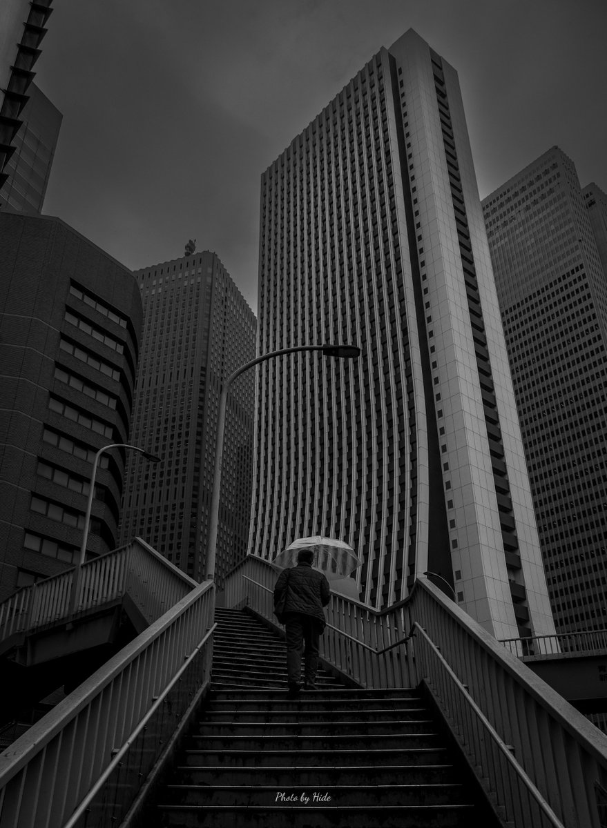 ひで猫 tweet media