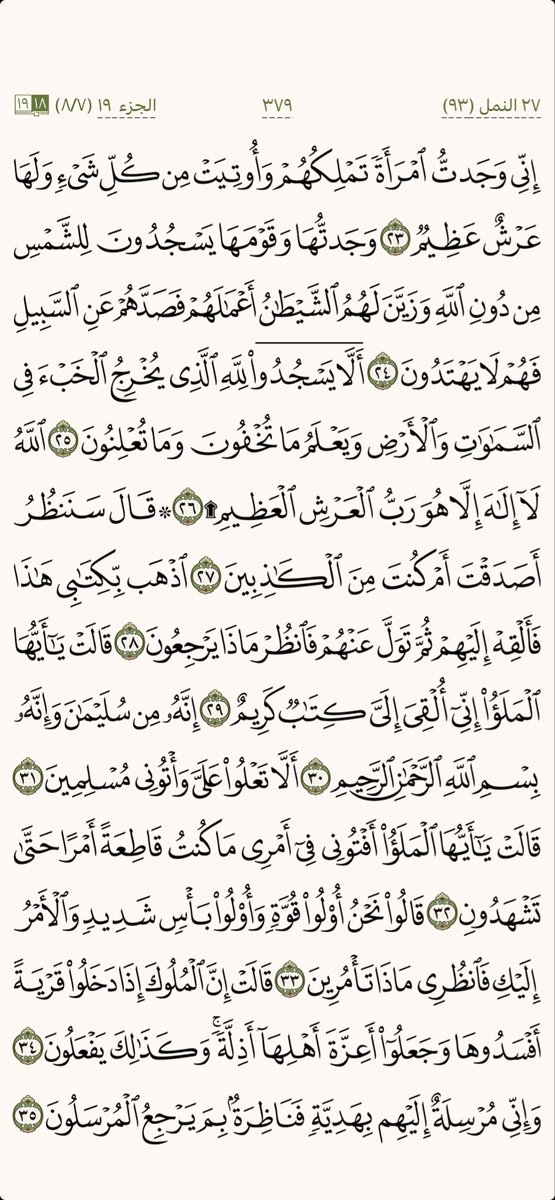 كل يوم صفحة tweet media