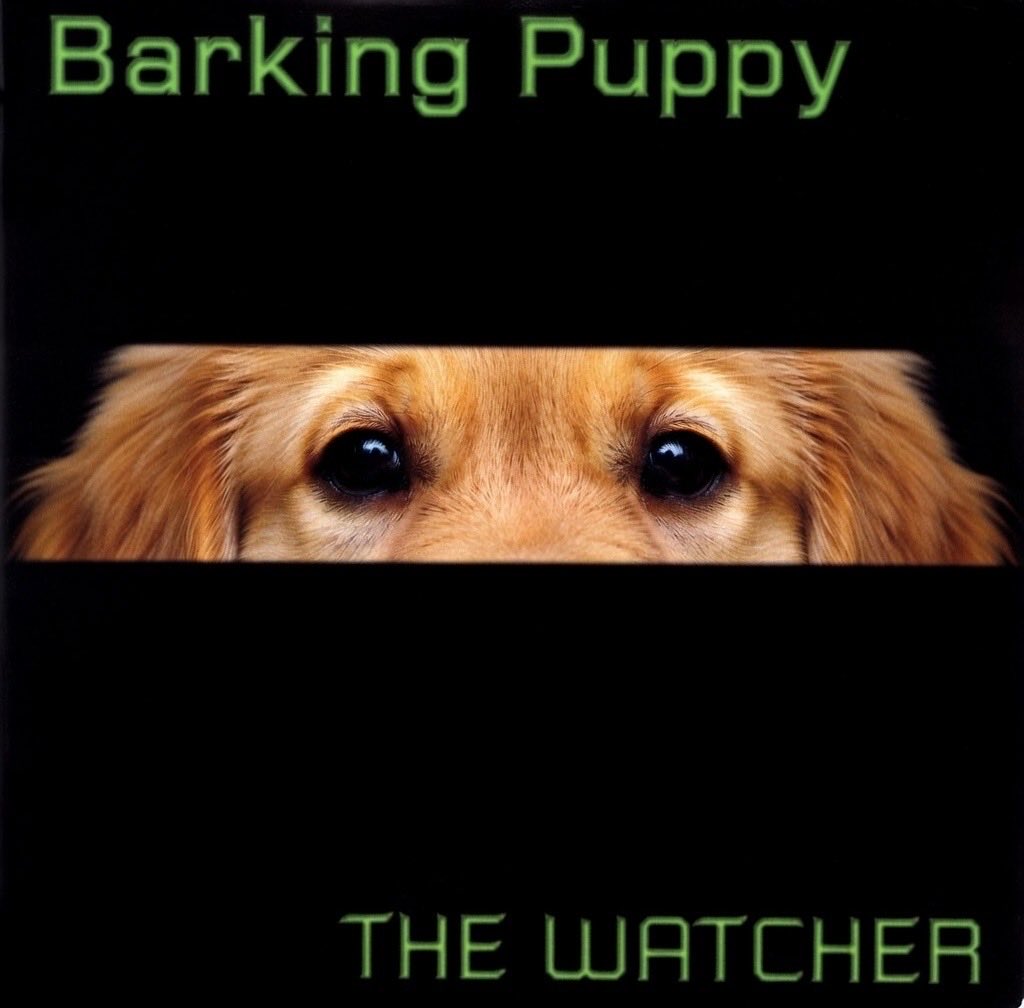 <a href="/BarkingPuppy8/">TheRealBarkingPuppy</a> $BP