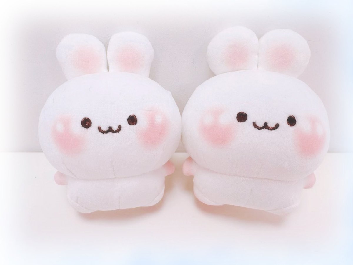 うさぎ tweet media