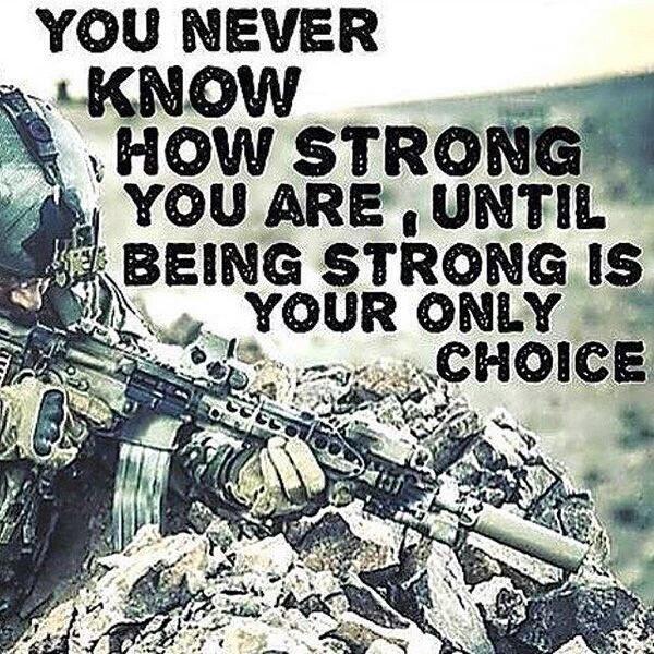 Kurt Bergstrom tweet media