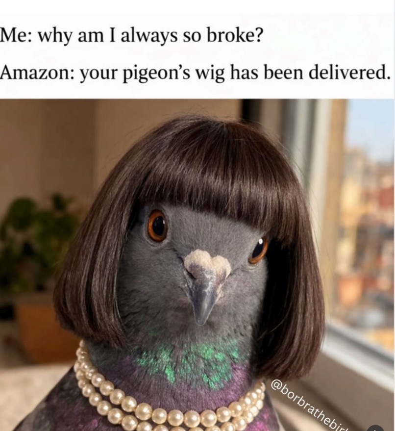 Pierce Brochetti tweet media