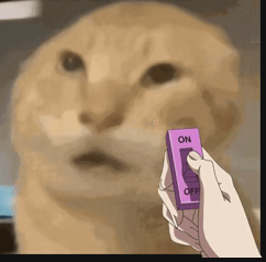 啊啊啊啊啊啊啊