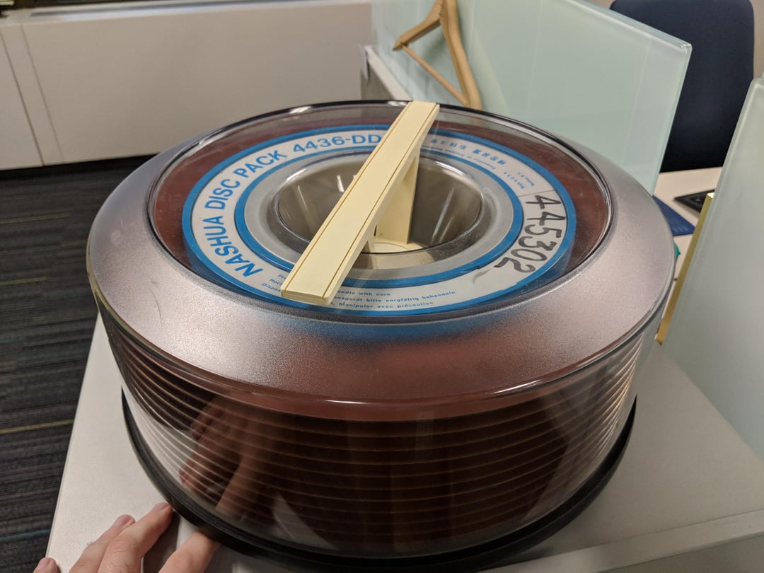 Kitty:33 tweet media