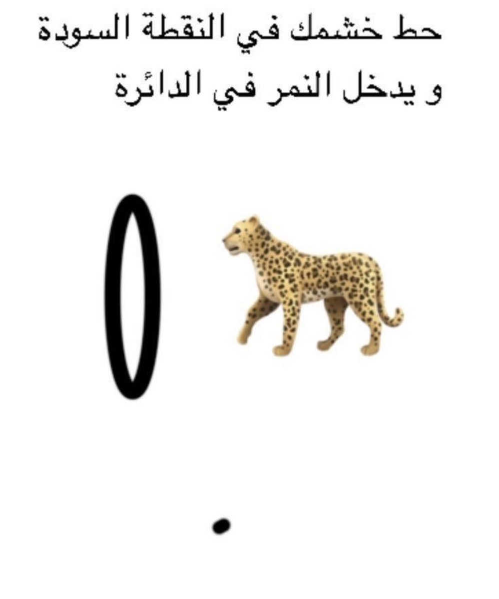 هايل tweet media