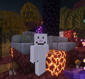 QSMP News Network (QNN) tweet media