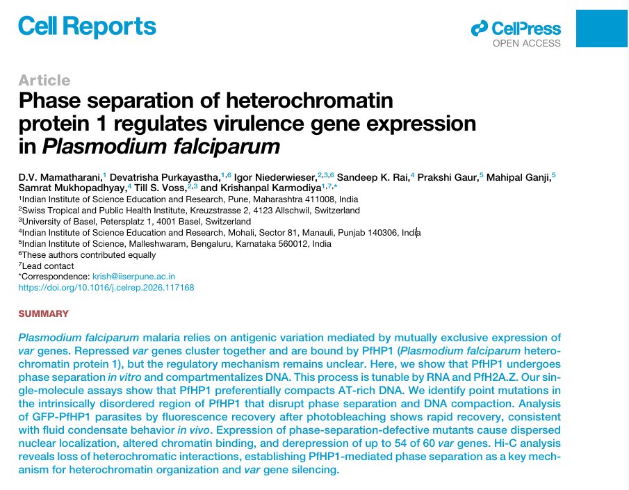 SamratLabMohali's tweet photo. In a collaborative study led by @Krishanpal_K published in @CellReports, we show that phase separation of Plasmodium falciparum Heterochromatin Protein 1 is essential for heterochromatin formation and malaria virulence gene control. Congrats to the team!!
https://t.co/08c5deW04i https://t.co/4PWiMo6Uva