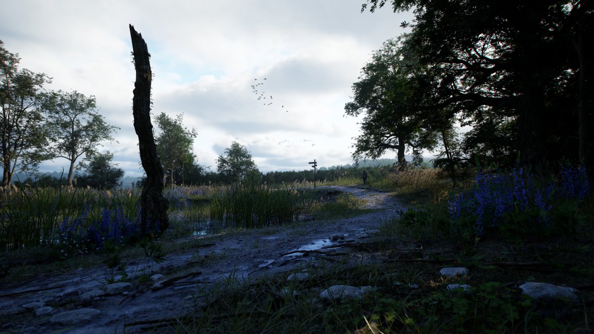 Jonathon Gregory Bick 🦑 tweet media