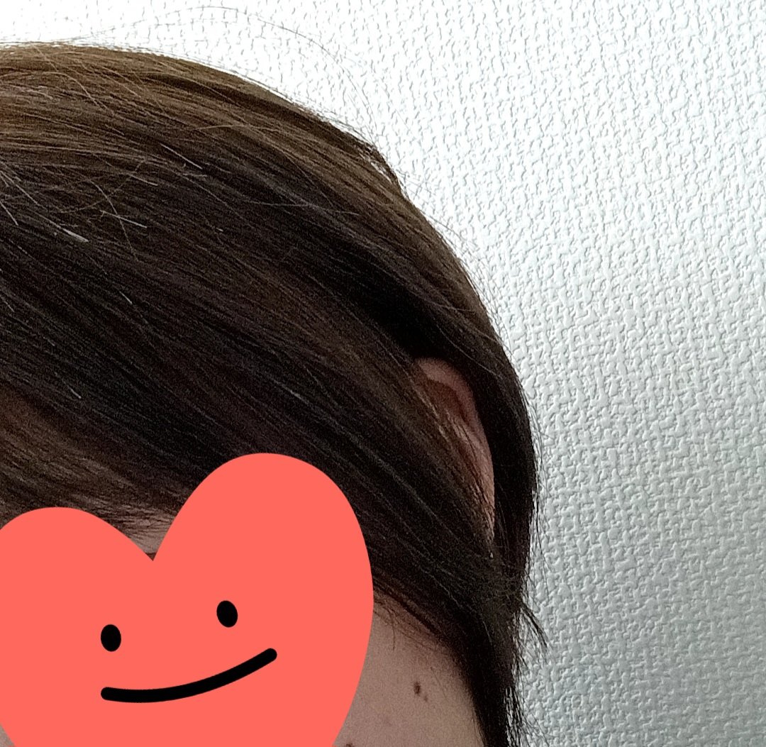 ねむいねここ tweet media