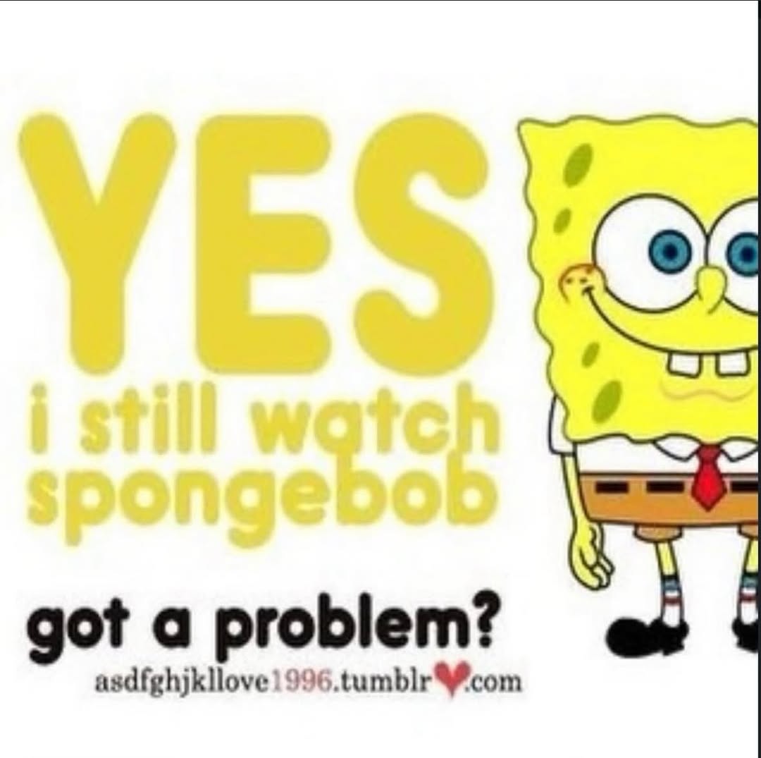 sponge.mp4 tweet media