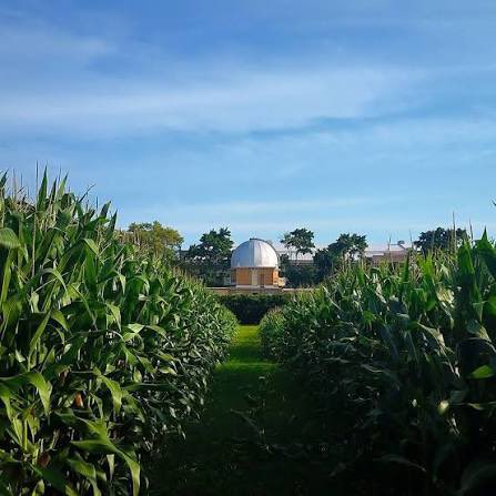 Calebescence tweet media