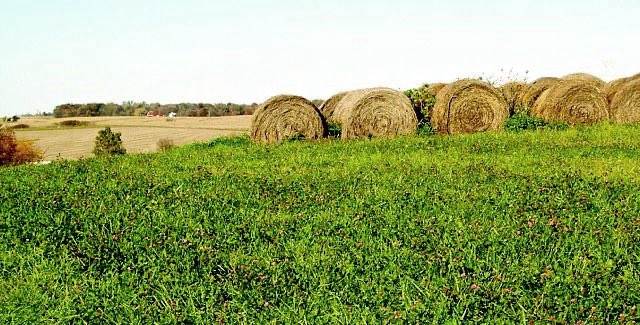 Calebescence tweet media