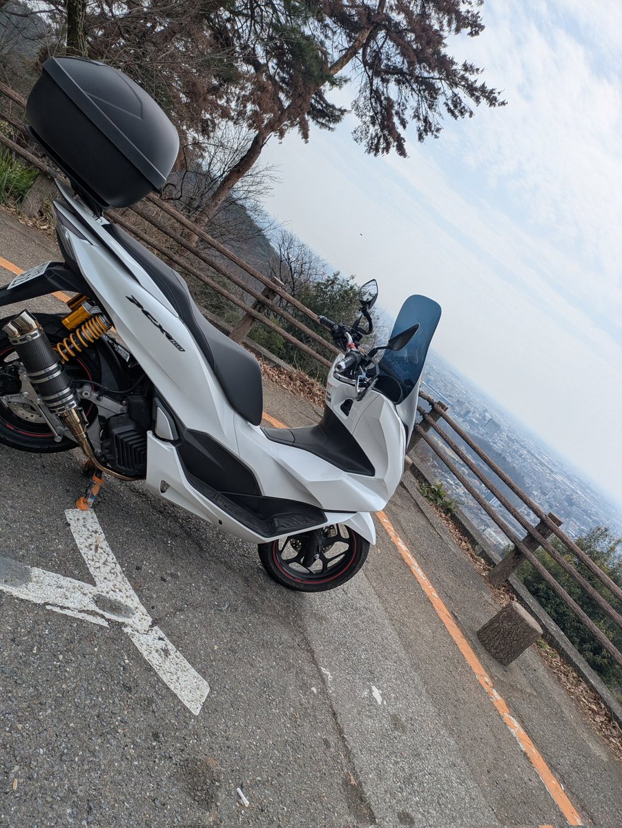 せなっぱ tweet media